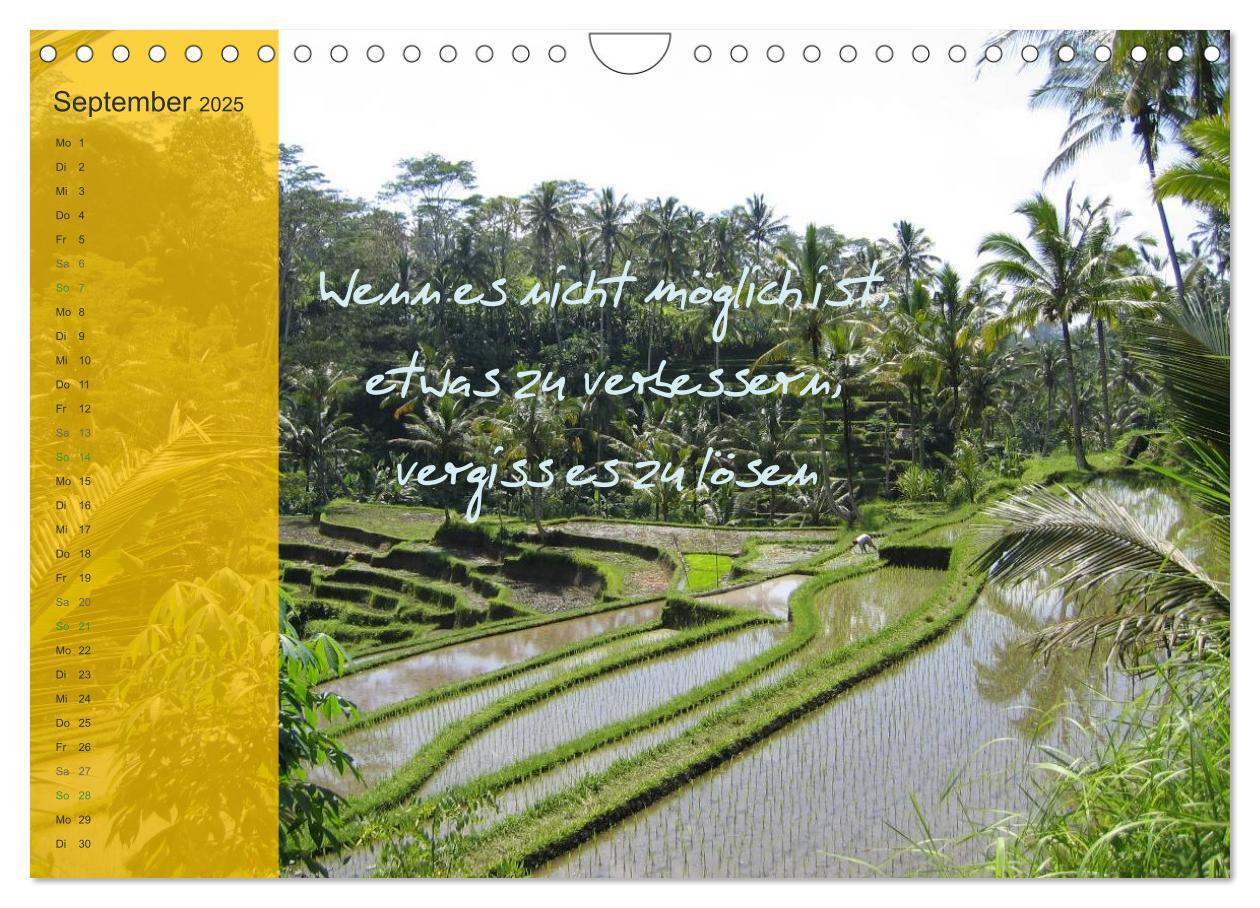 Bild: 9783435790715 | Bali und Java ~ mit indonesischen Weisheiten (Wandkalender 2025 DIN...