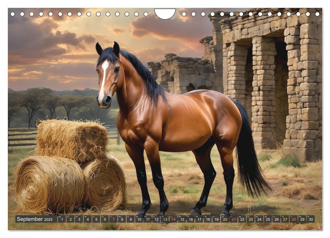 Bild: 9783457170977 | Schöne wilde Mustangs (Wandkalender 2025 DIN A4 quer), CALVENDO...