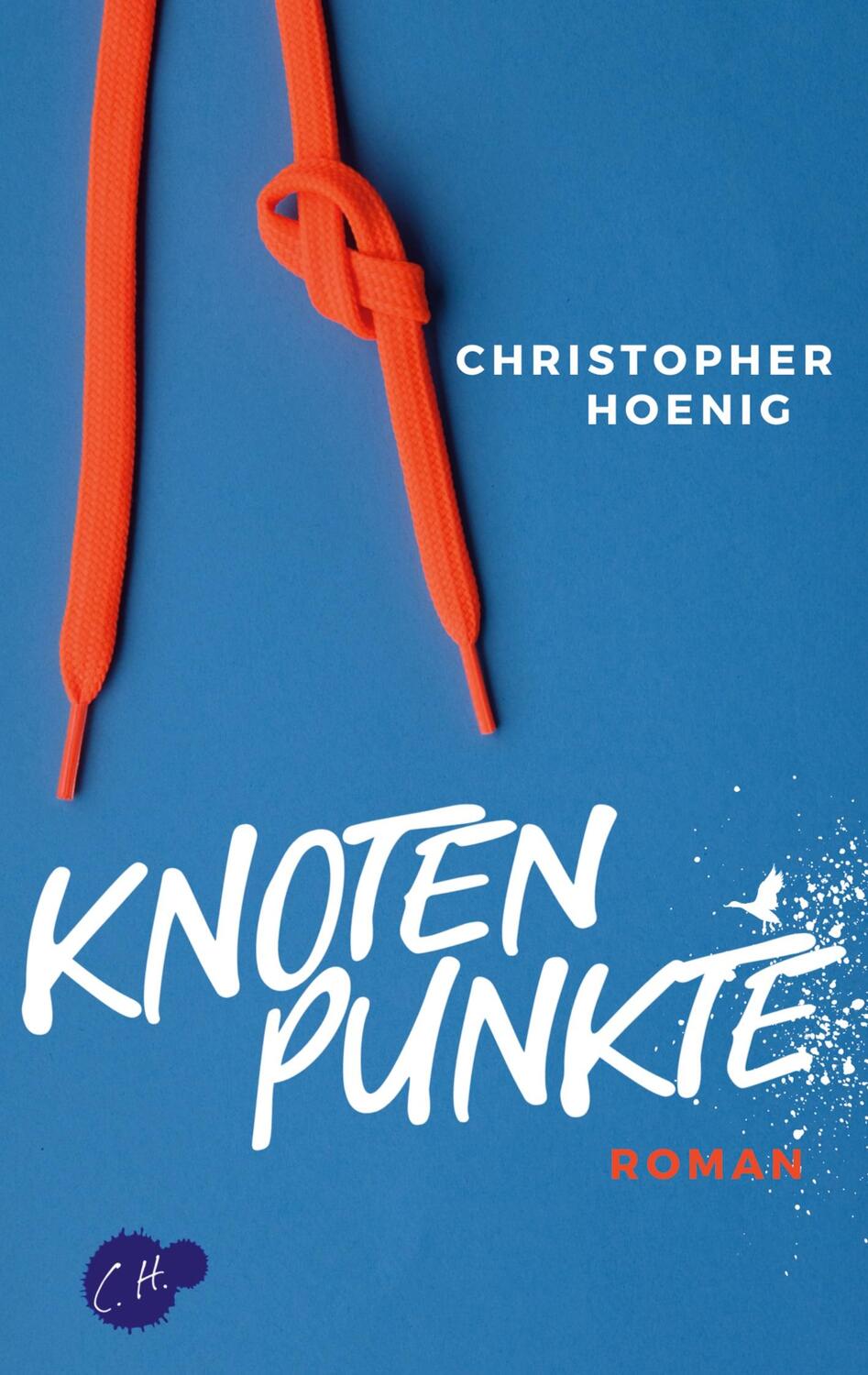 Cover: 9783757890582 | Knotenpunkte | Christopher Hoenig | Taschenbuch | Paperback | 258 S.