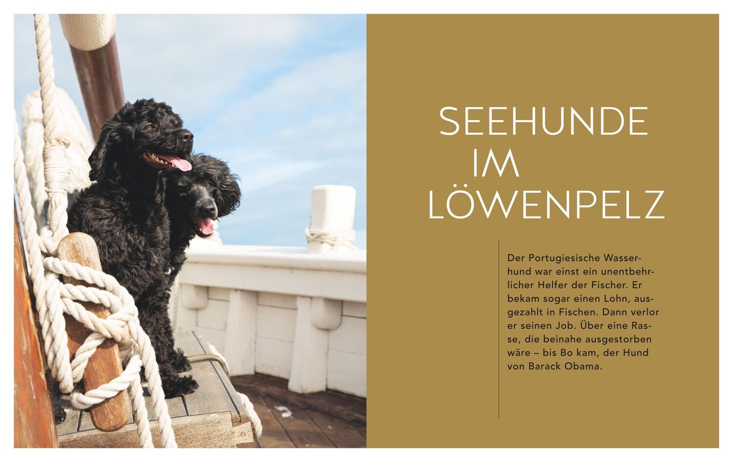 Bild: 9783833875601 | Gefährte Hund | Katharina Jakob | Buch | GU Haus &amp; Garten Tier-spezial