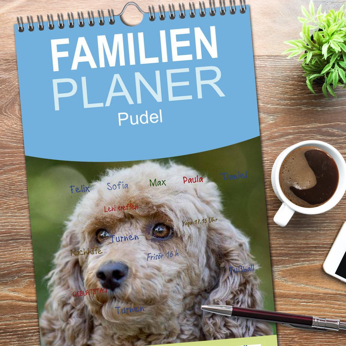 Bild: 9783457125427 | Familienplaner 2025 - Pudel mit 5 Spalten (Wandkalender, 21 x 45...