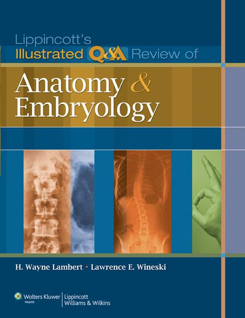 Cover: 9781605473154 | Lippincott's Illustrated Q&amp;A Review of Anatomy and Embryology | Buch