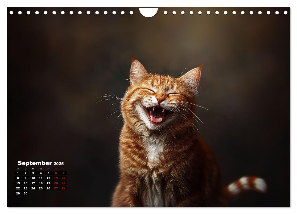 Bild: 9783457201985 | Auch Katzen lachen gern (Wandkalender 2025 DIN A4 quer), CALVENDO...