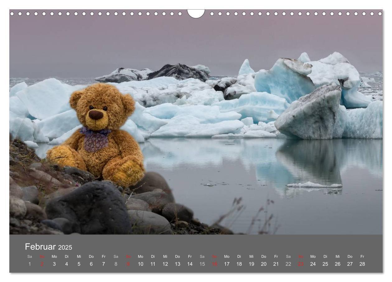 Bild: 9783435503063 | Travelling Teddy 2025 (Wandkalender 2025 DIN A3 quer), CALVENDO...