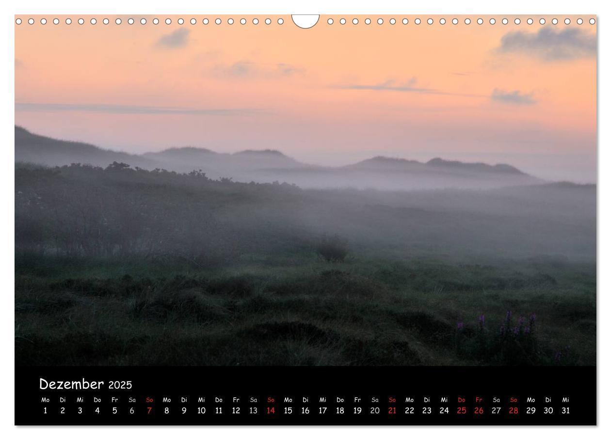 Bild: 9783435827275 | Amrum (Wandkalender 2025 DIN A3 quer), CALVENDO Monatskalender | 2025