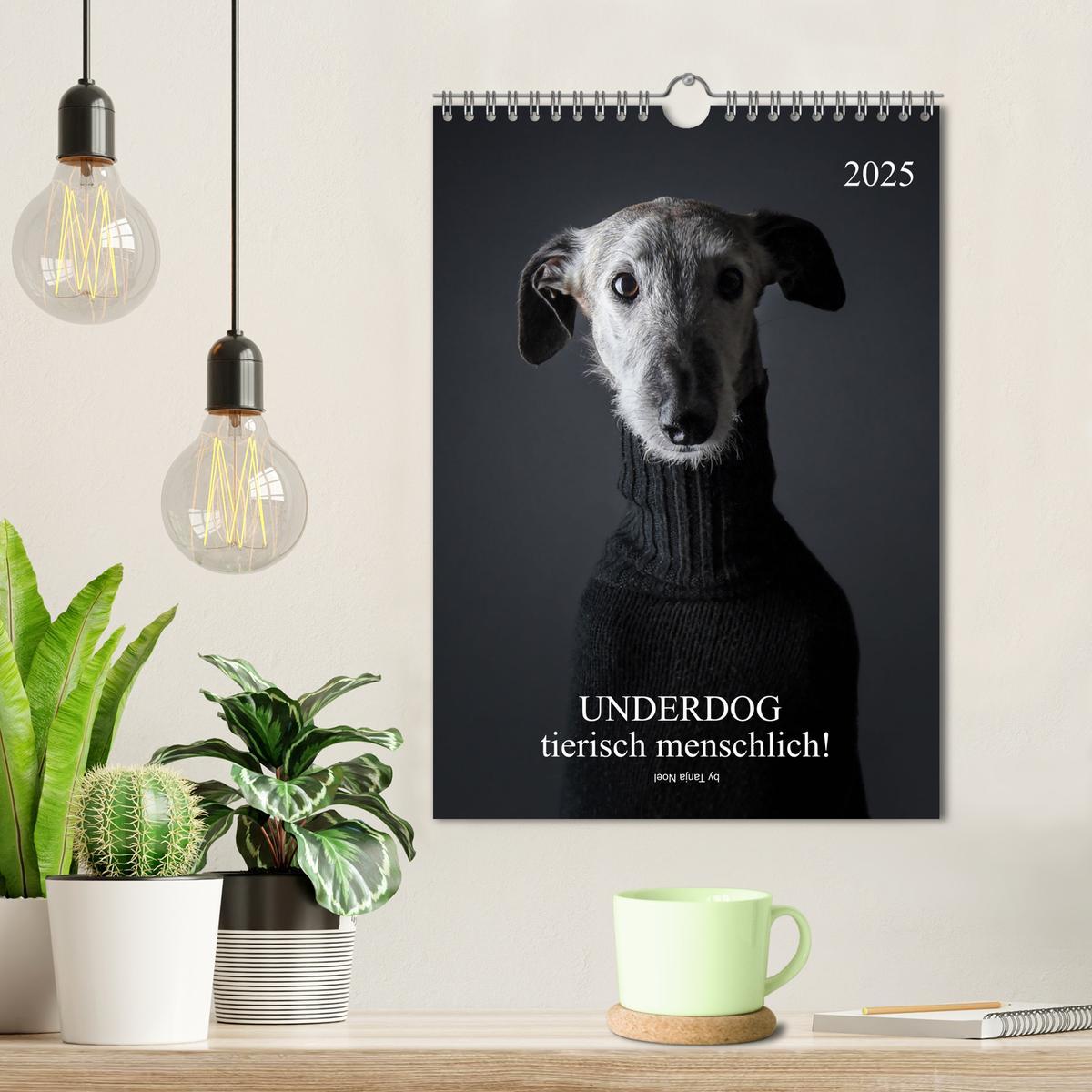 Bild: 9783435933419 | UNDERDOG - Windhundportraits (Wandkalender 2025 DIN A4 hoch),...