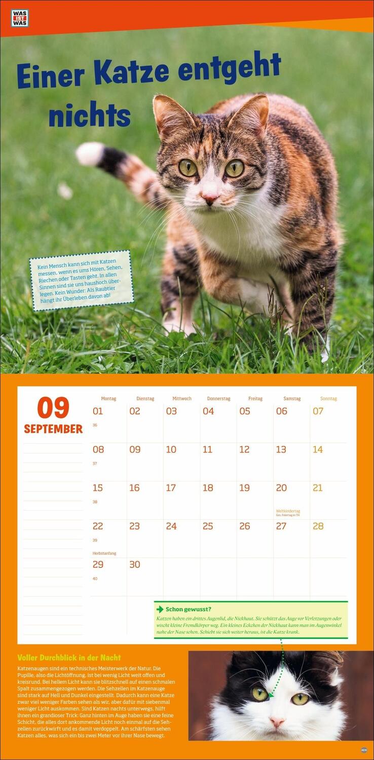 Bild: 9783756405541 | WAS IST WAS Tierwelt Broschurkalender 2025 | Kalender | 28 S. | 2025