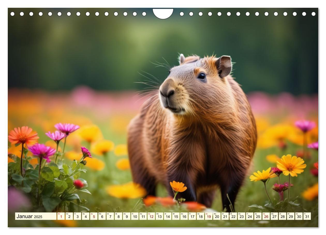 Bild: 9783457143759 | Capybaras - Wasserschweine die Herren der Gräser (Wandkalender 2025...