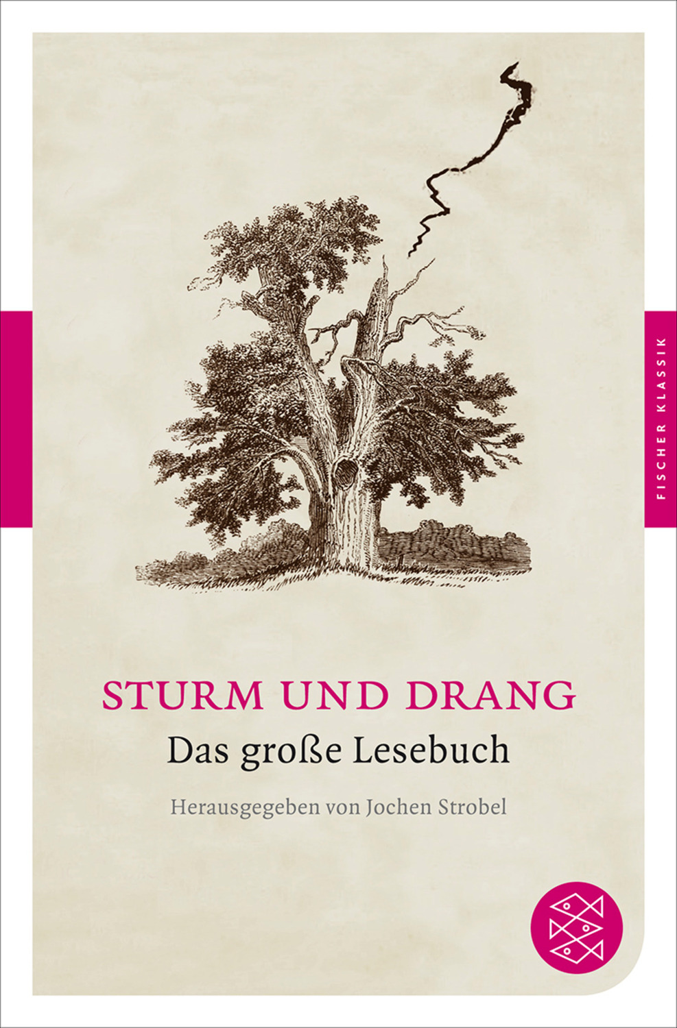 Cover: 9783596902507 | Sturm und Drang | Das große Lesebuch, Fischer Klassik | Jochen Strobel