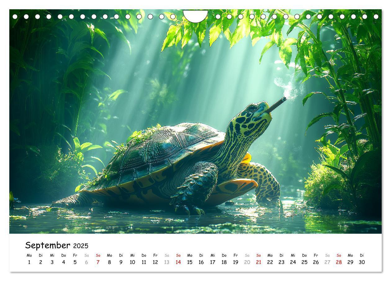 Bild: 9783457215784 | CHILL MAL - Entspannte Schildkröten beim Faulenzen (Wandkalender...