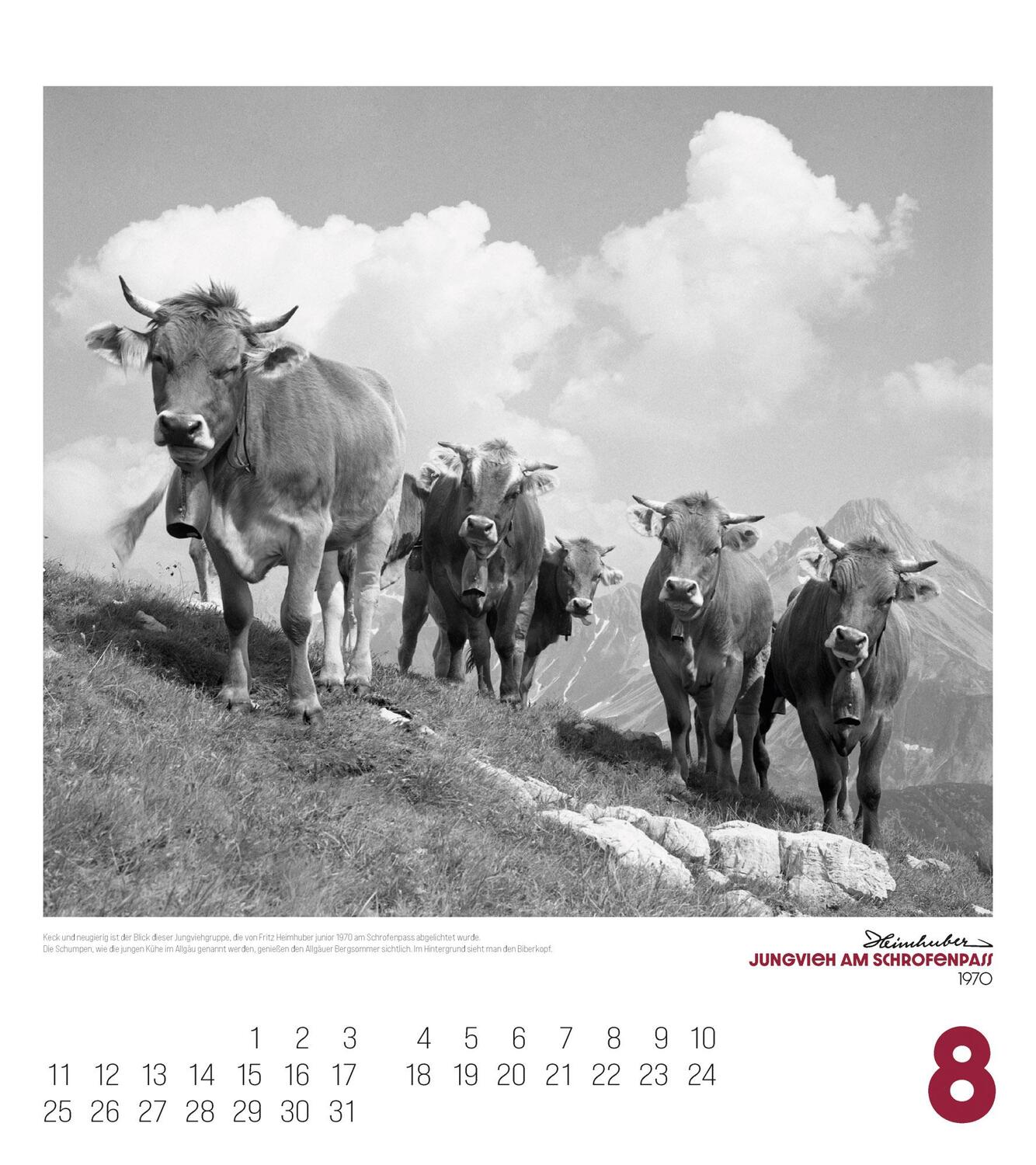 Bild: 9783838425092 | Alpengeschichten Kalender 2025 | Heimhuber (u. a.) | Kalender | 14 S.