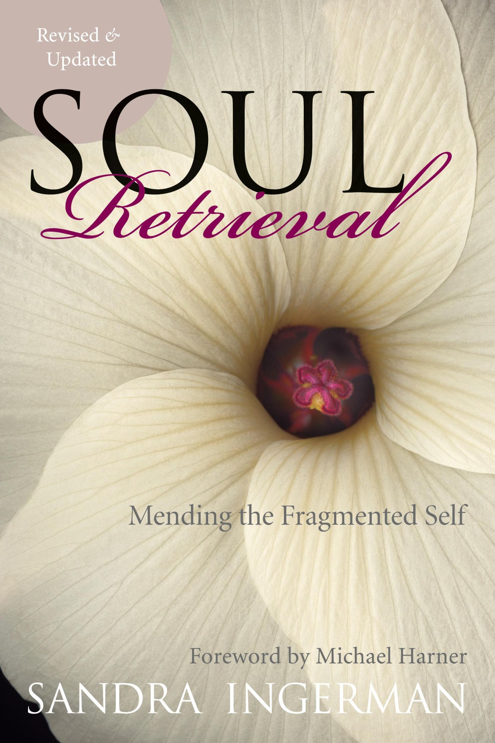 Cover: 9780061227868 | Soul Retrieval | Mending the Fragmented Self | Sandra Ingerman | Buch