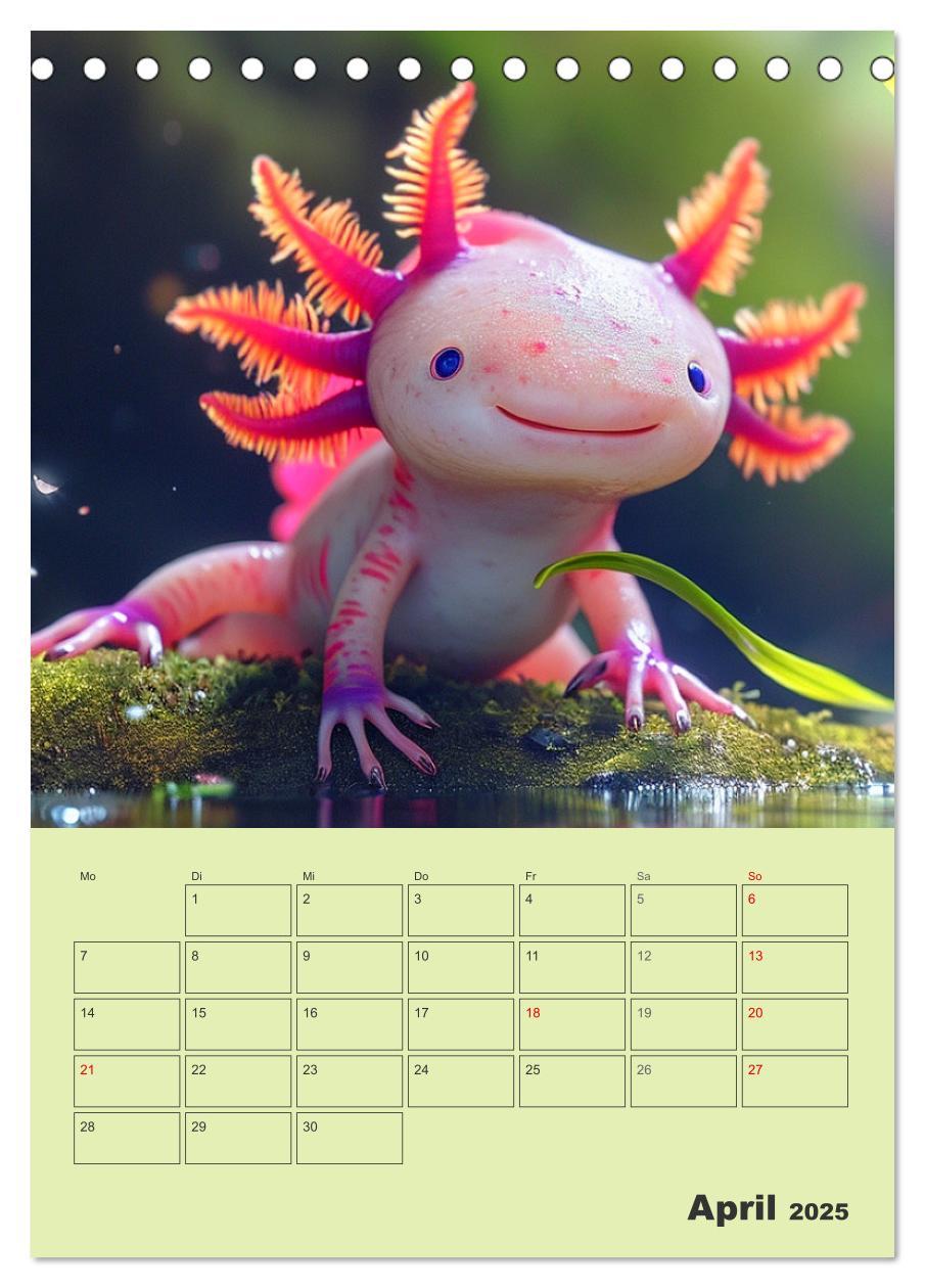 Bild: 9783383807909 | Axolotl. Lustiger Schwanzlurch mit Superkräften (Tischkalender 2025...