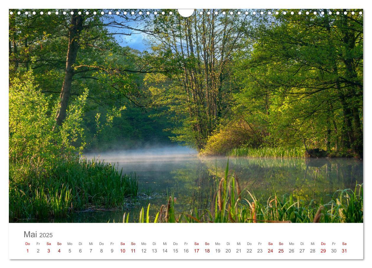 Bild: 9783457198612 | Spreewald - Ein Naturparadies (Wandkalender 2025 DIN A3 quer),...