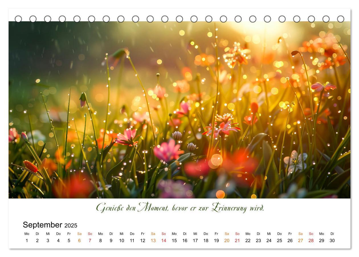 Bild: 9783383814624 | Freu Dich Motivations-Kalender (Tischkalender 2025 DIN A5 quer),...