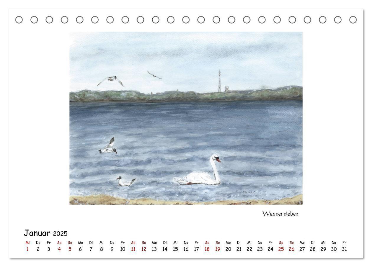 Bild: 9783435324521 | Die Flensburger Förde (Tischkalender 2025 DIN A5 quer), CALVENDO...