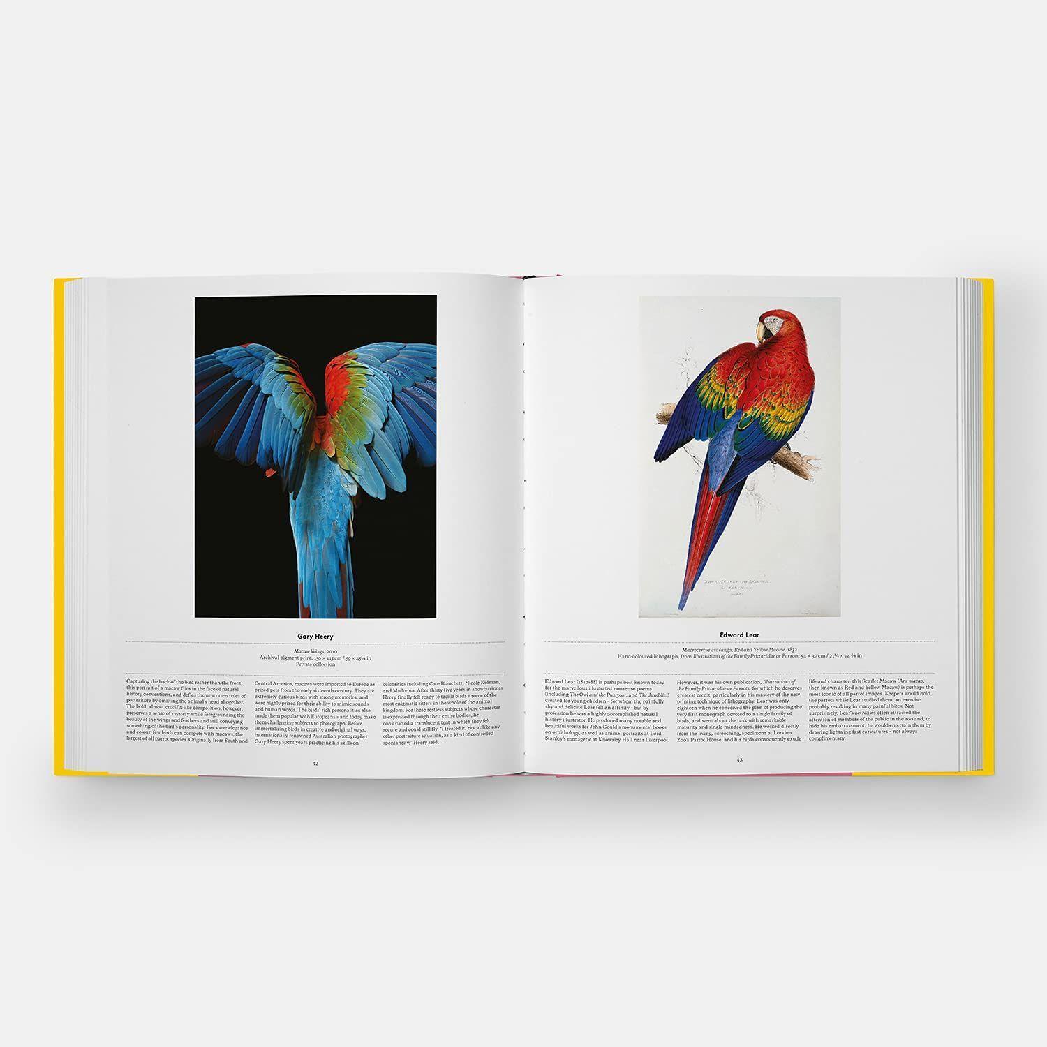 Bild: 9781838661403 | Bird | Exploring the Winged World | Katrina van Grouw (u. a.) | Buch