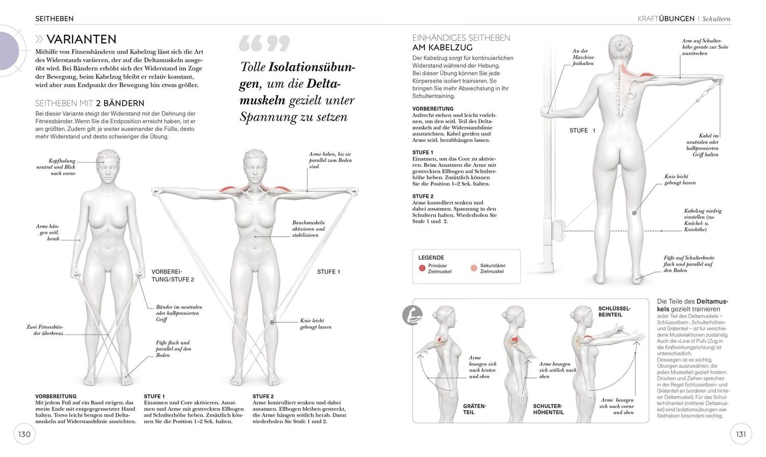 Bild: 9783831042760 | Krafttraining - Die Anatomie verstehen | Austin Current | Taschenbuch