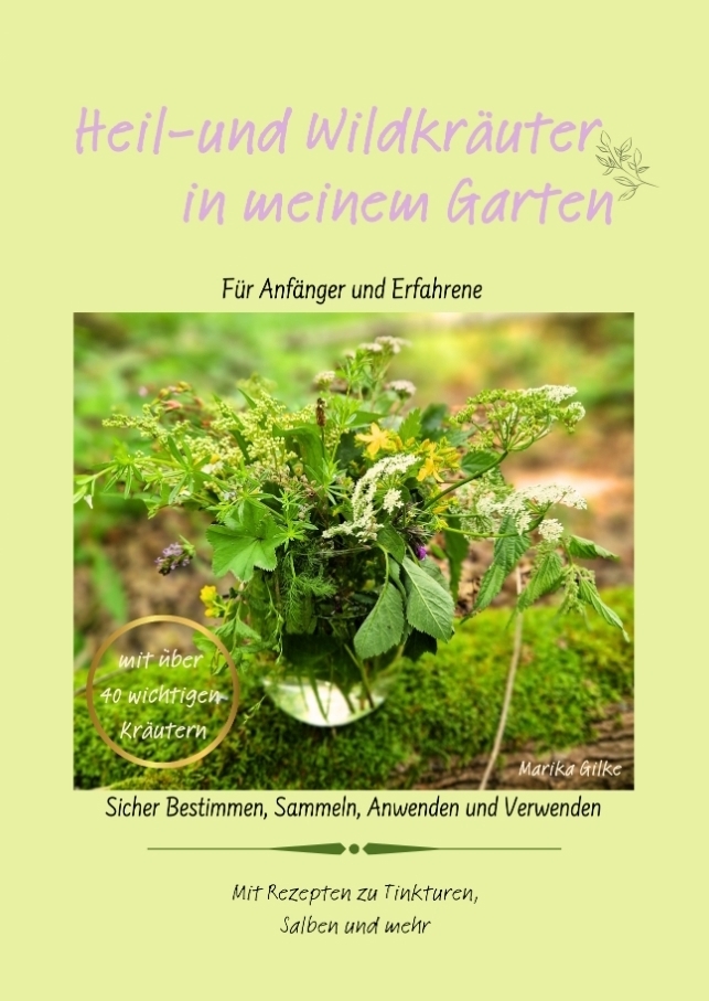 Cover: 9783384227508 | Heil- und Wildkräuter in meinem Garten | Marika Gilke | Taschenbuch