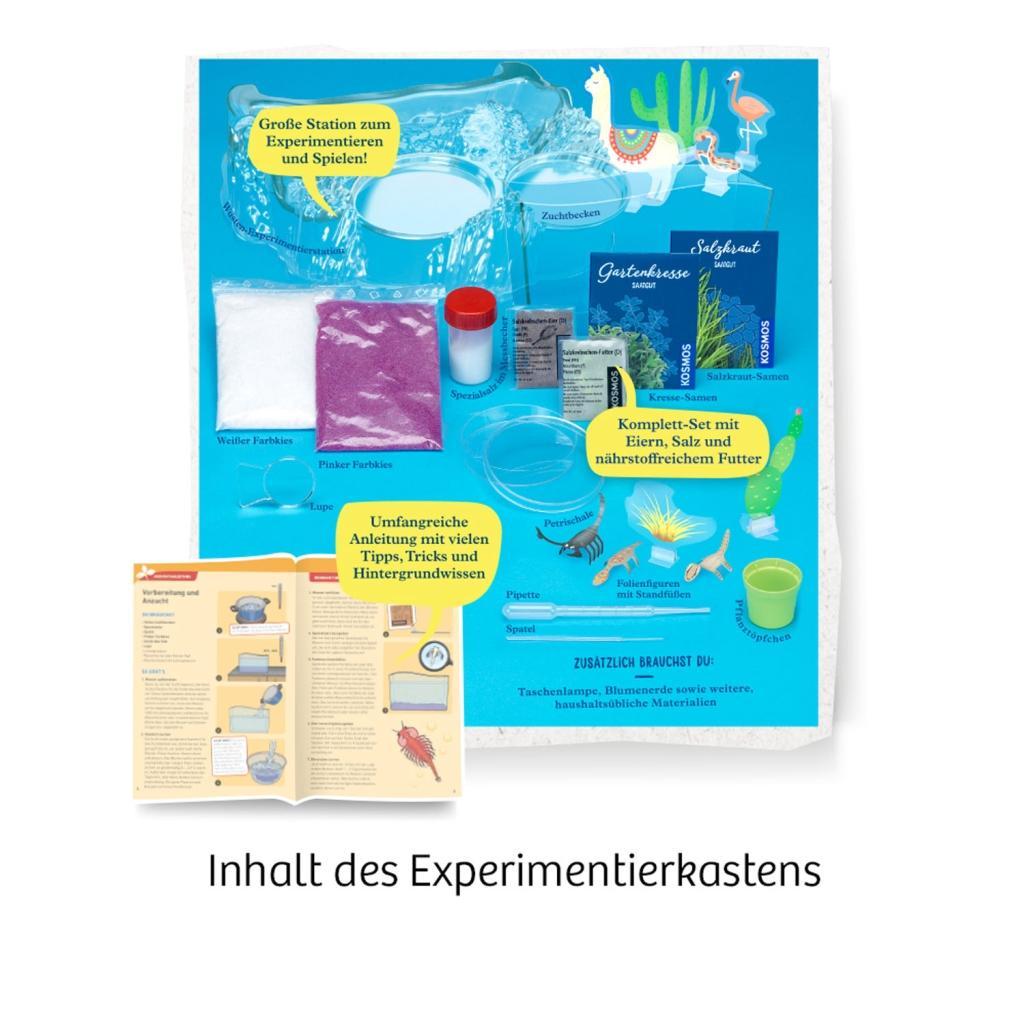 Bild: 4002051633264 | Salzkrebse | Experimentierkasten | Spiel | Brettspiel | Deutsch | 2019