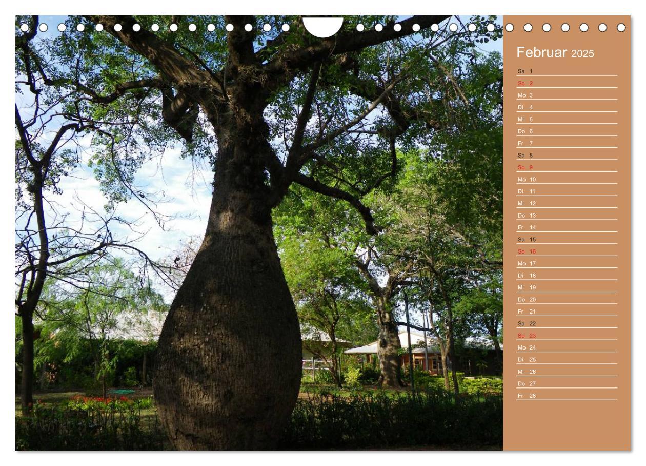 Bild: 9783435774081 | Bilder aus dem Chaco in Paraguay (Wandkalender 2025 DIN A4 quer),...