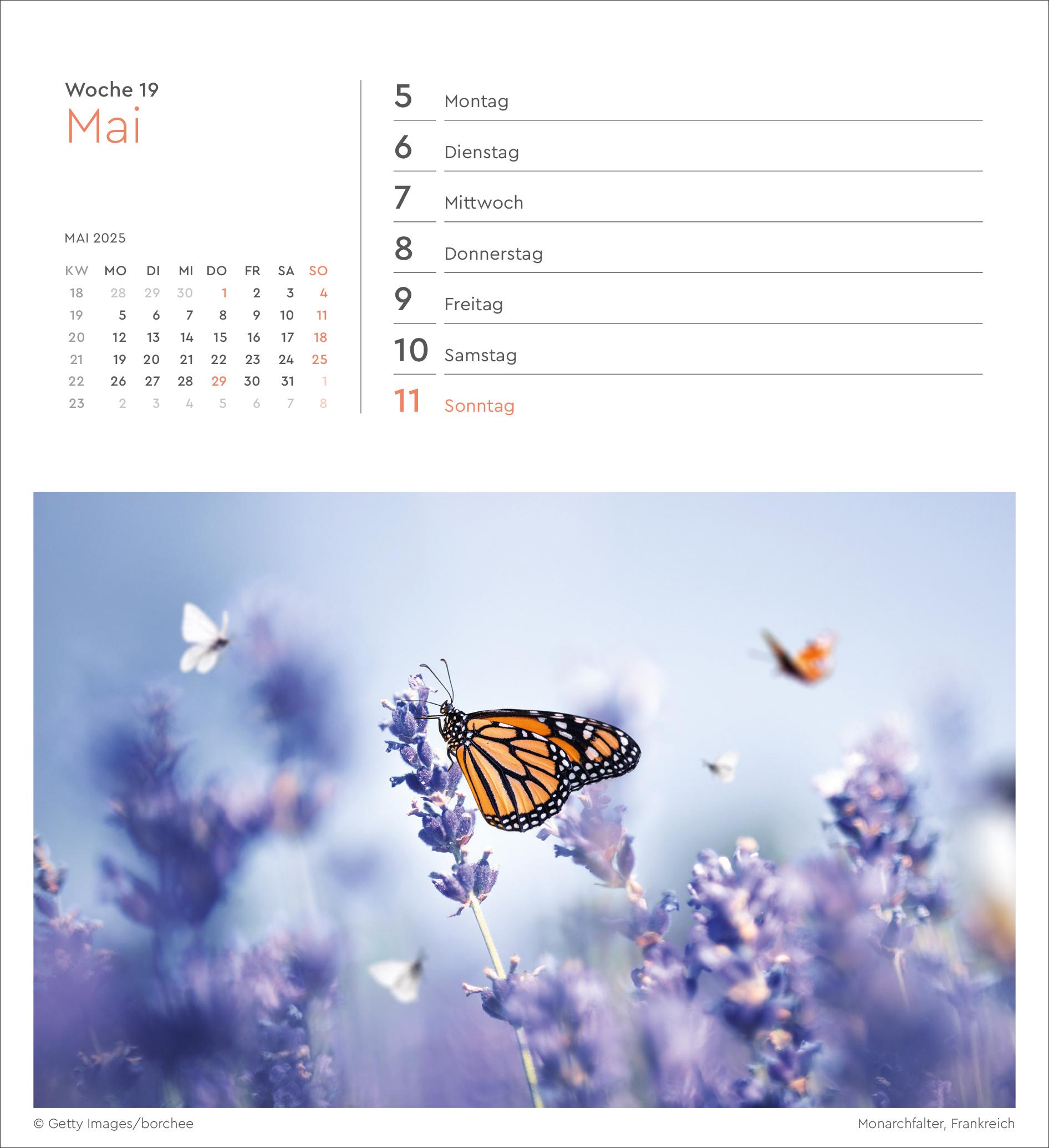 Bild: 9783965913905 | Summertime - KUNTH Postkartenkalender 2025 | Kalender | 53 S. | 2025