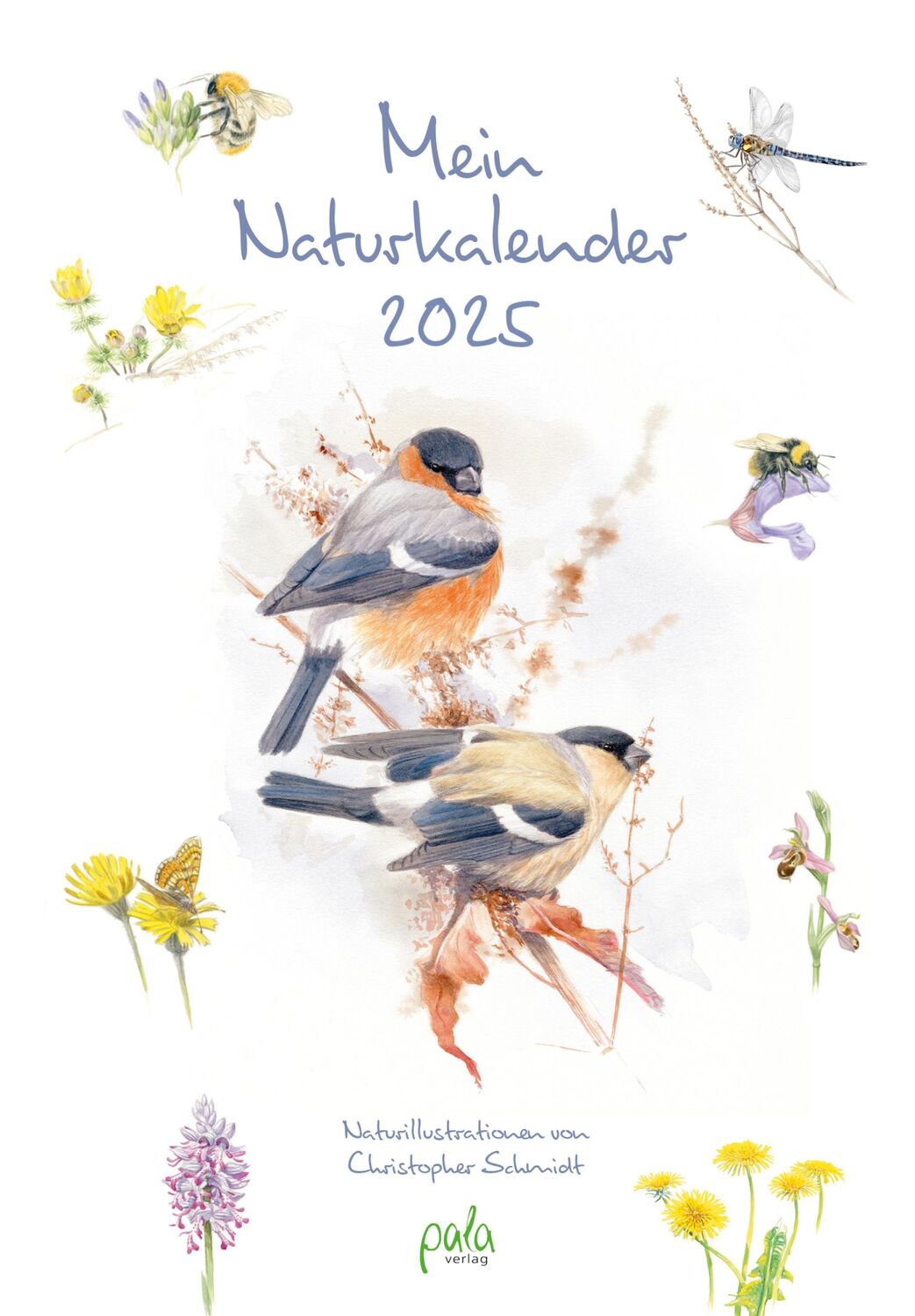 Cover: 9783895664366 | Mein Naturkalender 2025 | Naturillustrationen von Christopher Schmidt