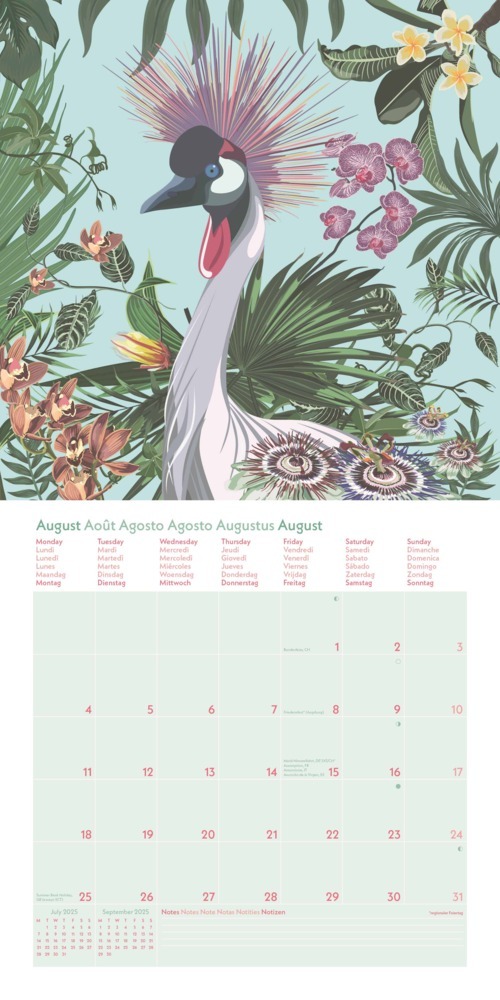 Bild: 4002725981752 | GreenLine - Jungle 2025 Broschürenkalender, 30x30cm, Wandkalender...