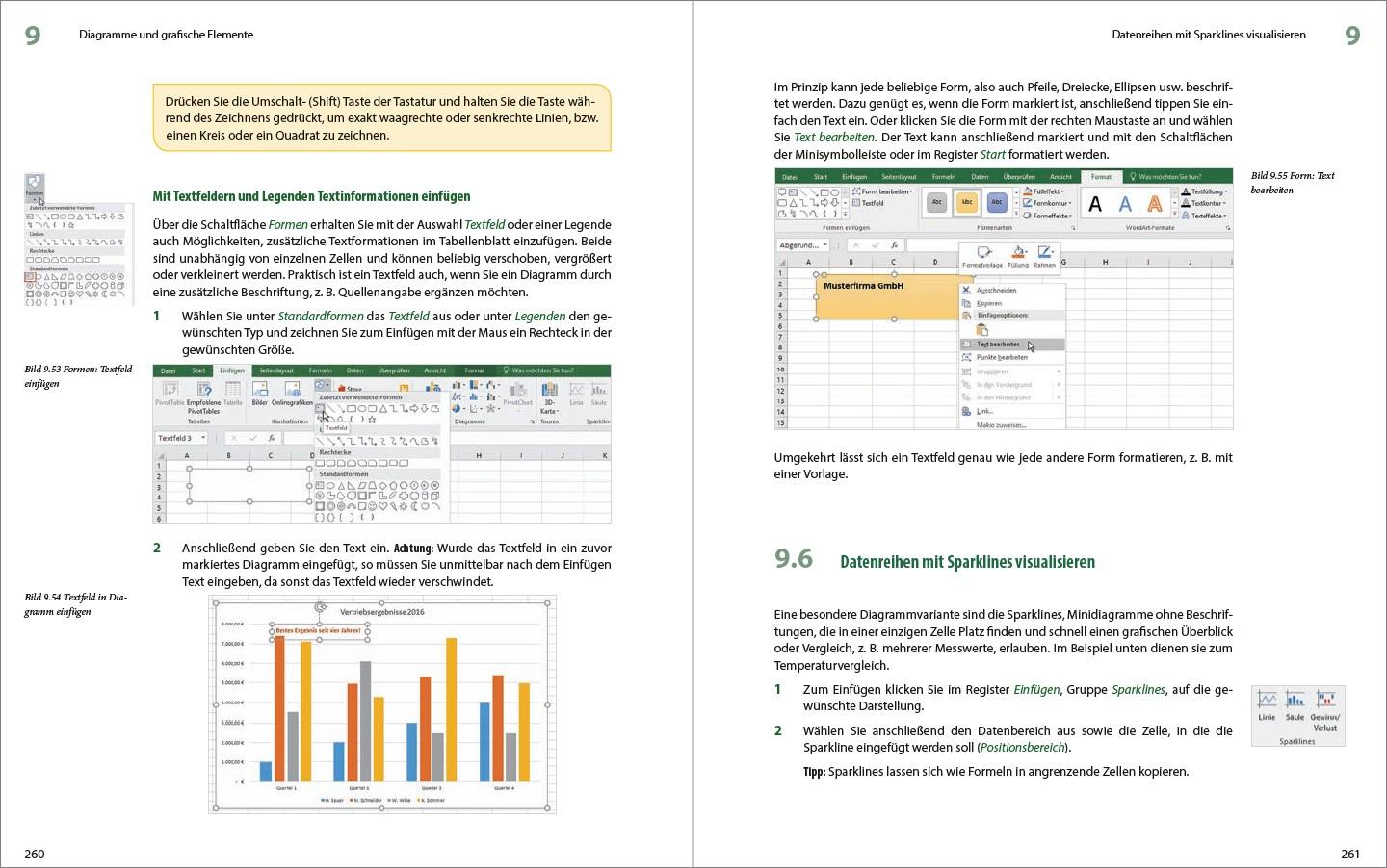 Bild: 9783832802912 | Excel 2016 - Grundlagen für Einsteiger | Anja Schmid (u. a.) | Buch