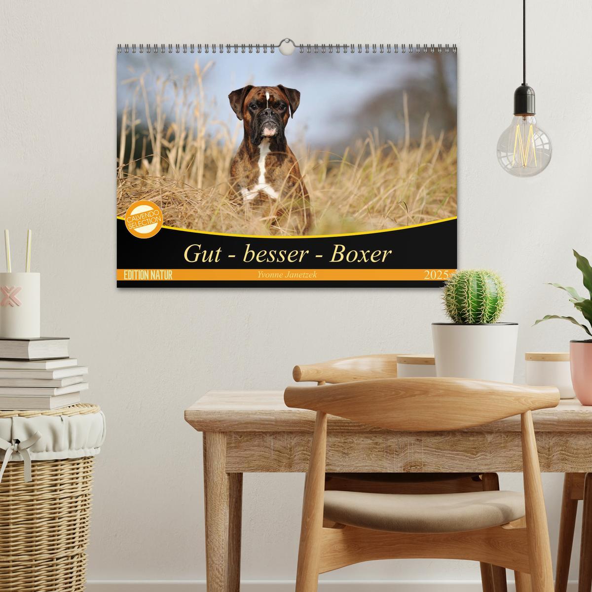 Bild: 9783435411849 | Gut - besser - Boxer (Wandkalender 2025 DIN A3 quer), CALVENDO...