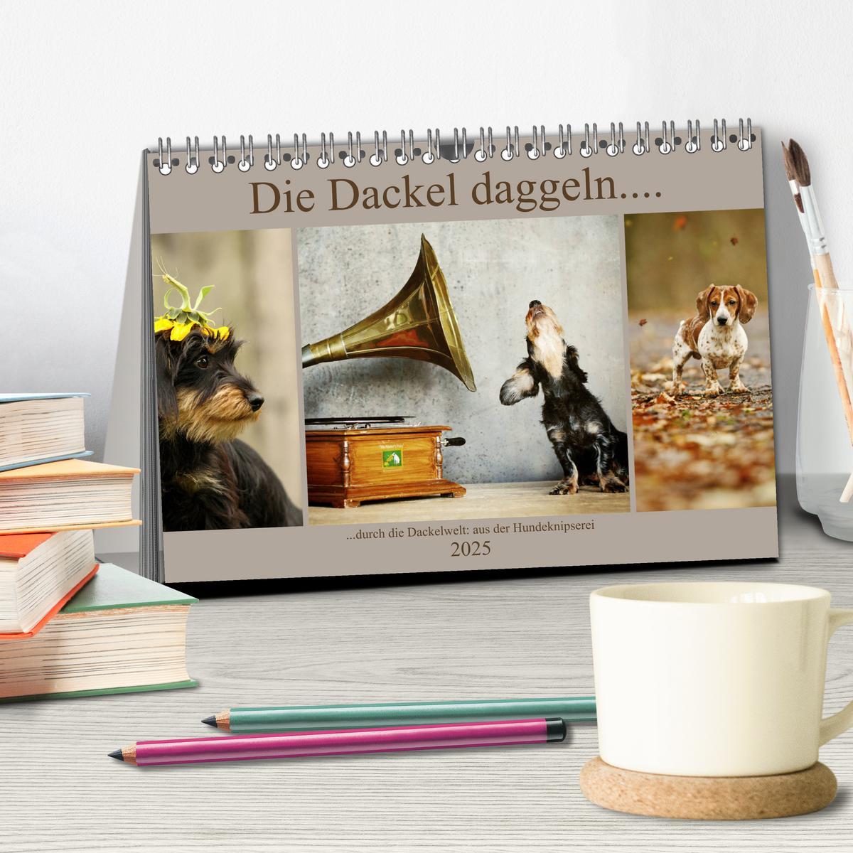 Bild: 9783435383054 | Die Dackel daggeln.... (Tischkalender 2025 DIN A5 quer), CALVENDO...