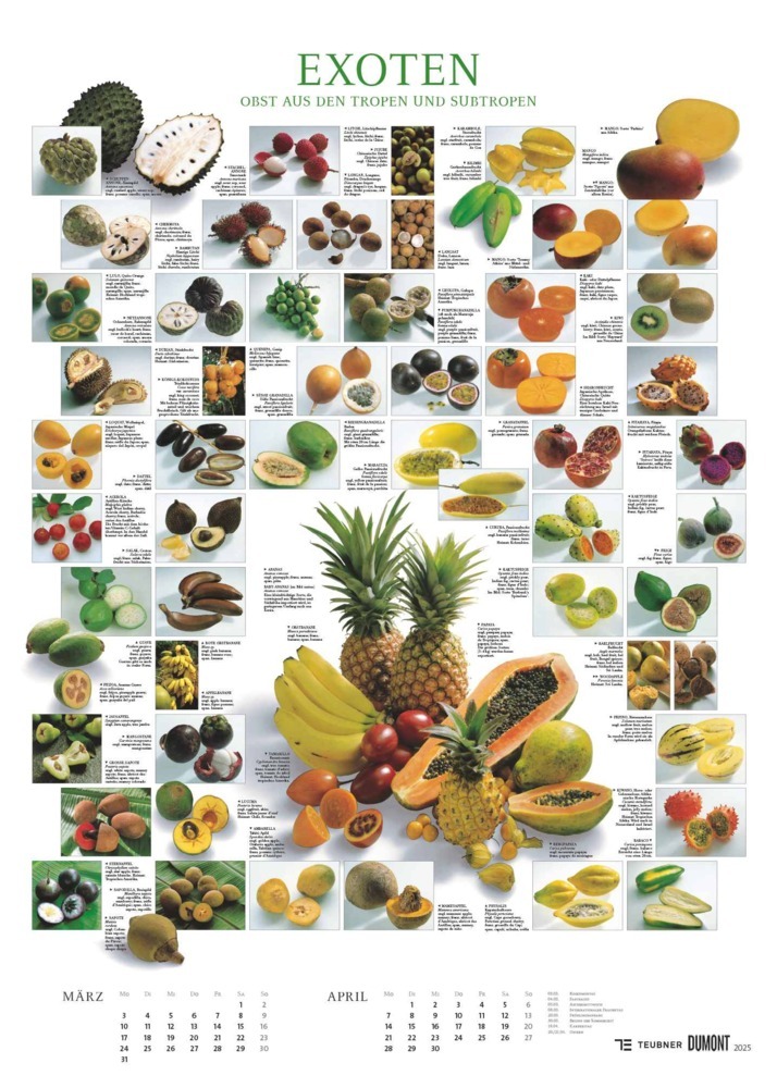 Bild: 4250809652887 | DUMONT - Food 2025 Posterkalender, 50x70cm, Bildkalender mit kurzen...