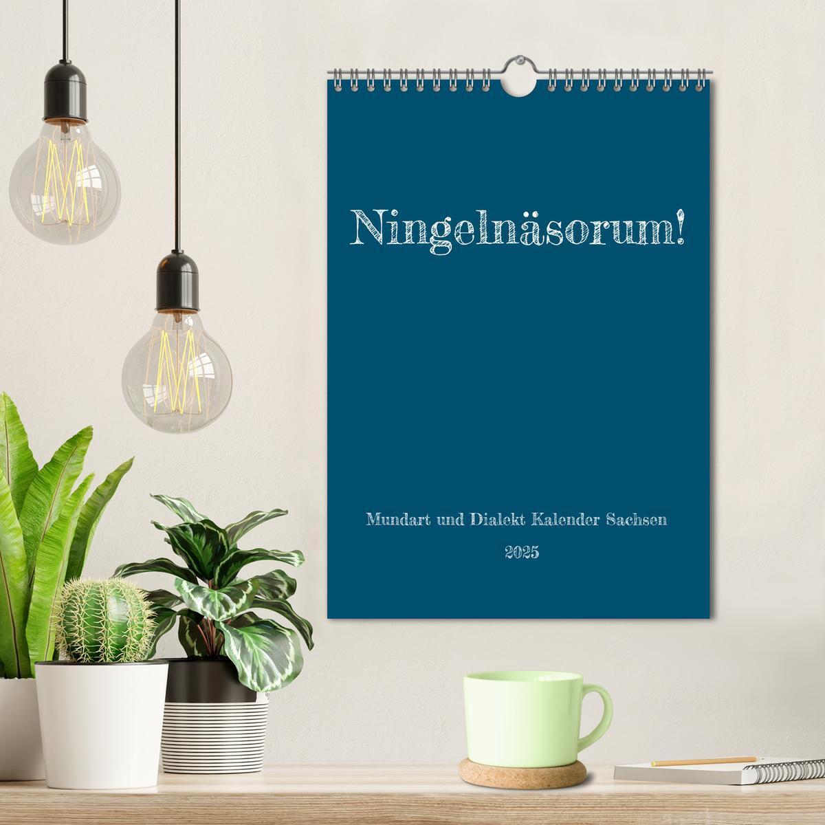 Bild: 9783435898220 | Ningelnäsorum! Mundart und Dialekt Kalender Sachsen (Wandkalender...