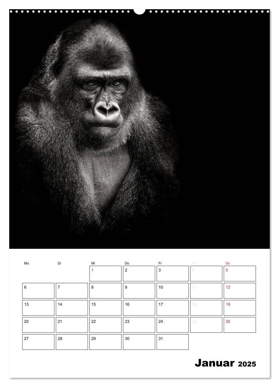 Bild: 9783457012840 | Charakterköpfe aus der Welt der Tiere (Wandkalender 2025 DIN A2...