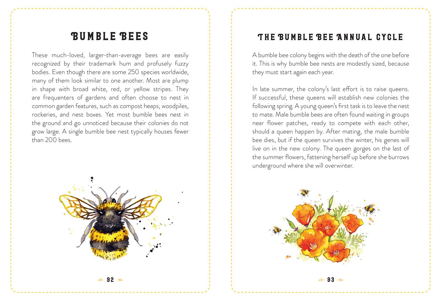 Bild: 9780008324278 | The Little Book of Bees | Hilary Kearney | Buch | Gebunden | Englisch