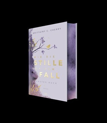 Bild: 9783736321663 | Wie die Stille vor dem Fall. Erstes Buch: Special Edition | Cherry