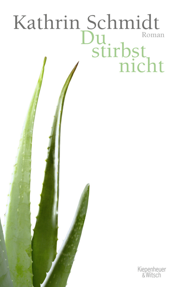 Cover: 9783462040982 | Du stirbst nicht | Kathrin Schmidt | Buch | 352 S. | Deutsch | 2009