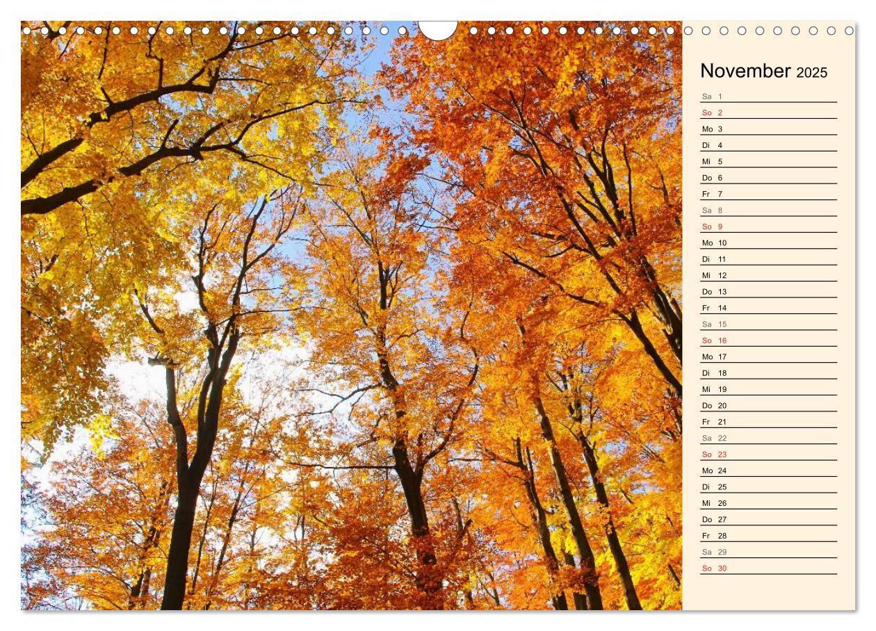 Bild: 9783435507245 | Riesengebirge (Wandkalender 2025 DIN A3 quer), CALVENDO Monatskalender