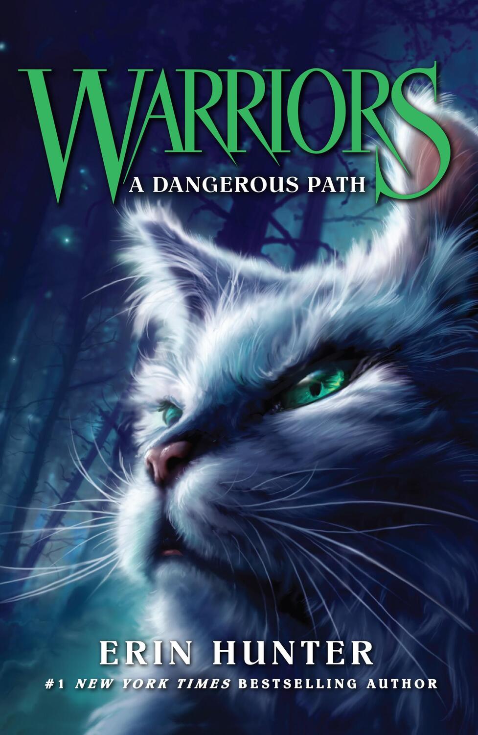 Cover: 9780007140060 | A Dangerous Path | Erin Hunter | Taschenbuch | Kartoniert / Broschiert