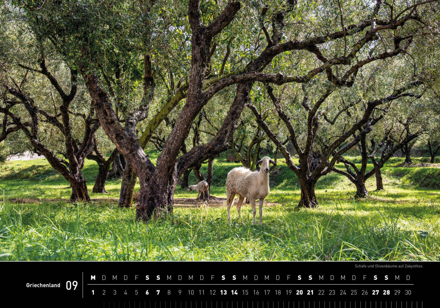 Bild: 9783968555348 | 360° Griechenland Premiumkalender 2025 | Holger Leue | Kalender | 2025