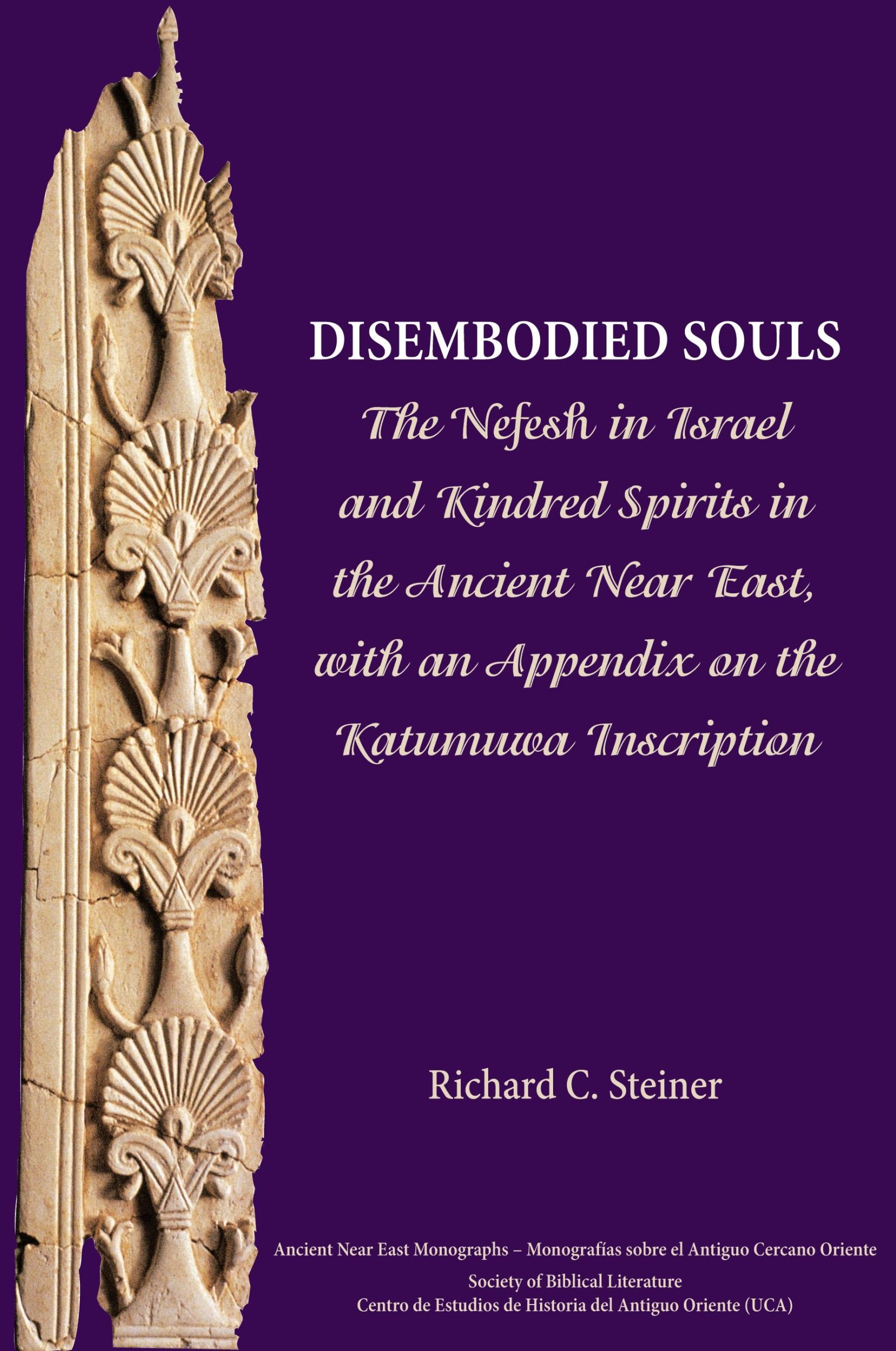 Cover: 9781628370782 | Disembodied Souls | Richard C. Steiner | Buch | Englisch | 2015