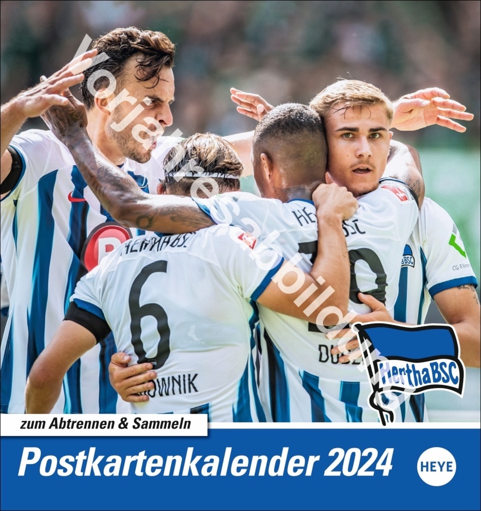 Cover: 9783756405480 | Hertha BSC Postkartenkalender 2025 | Kalender | Spiralbindung | 13 S.