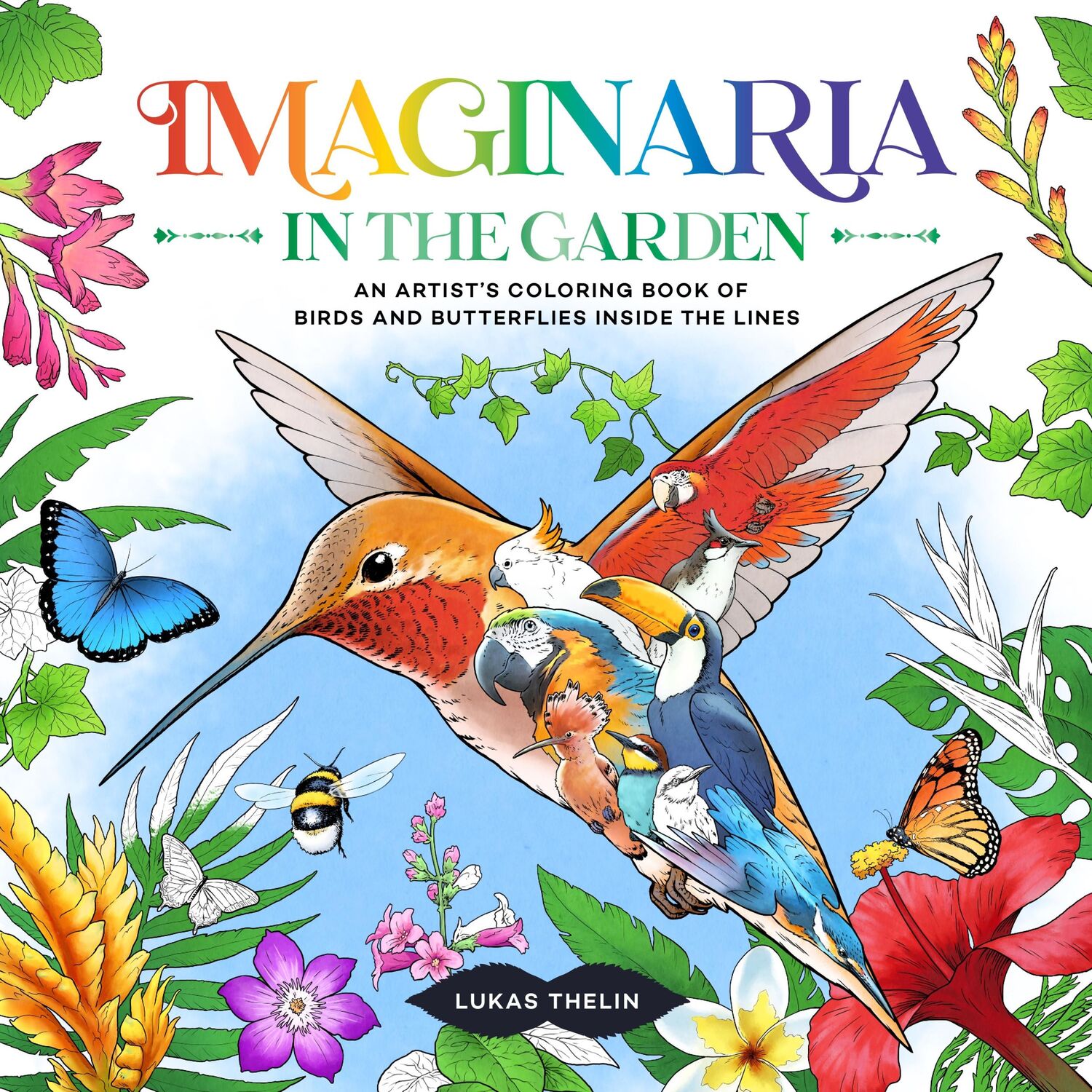 Cover: 9781250335050 | Imaginaria: In the Garden | Lukas Thelin | Taschenbuch | Englisch