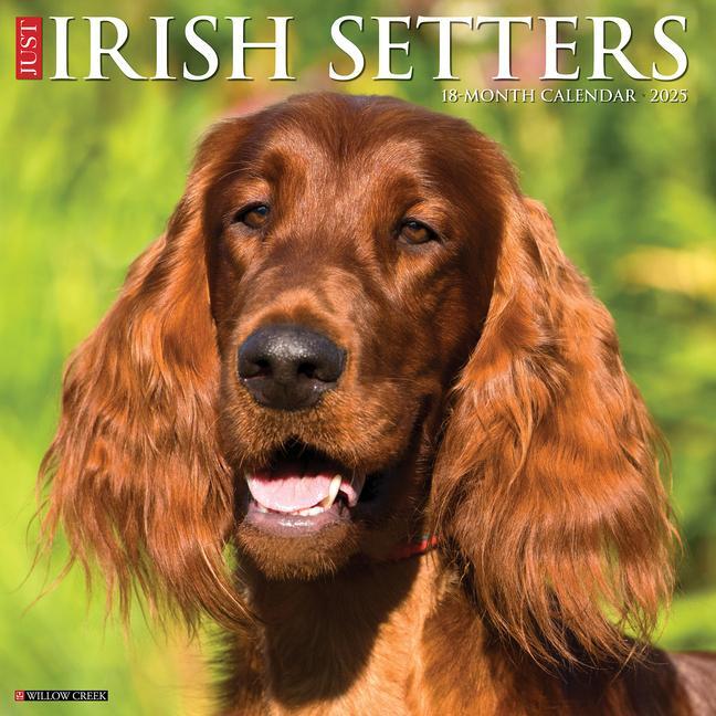 Cover: 9781549243523 | Just Irish Setters 2025 12 X 12 Wall Calendar | Willow Creek Press