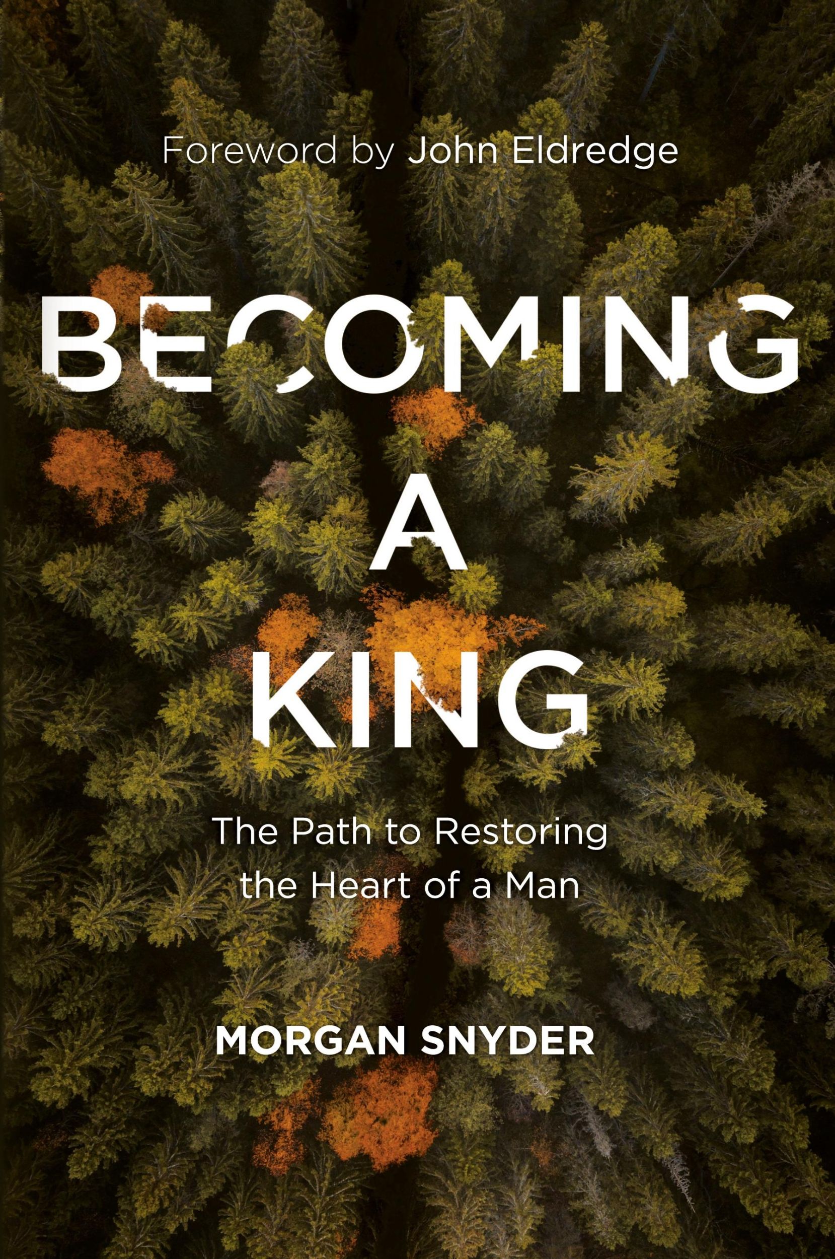 Cover: 9780785233381 | Becoming a King | The Path to Restoring the Heart of a Man | Snyder