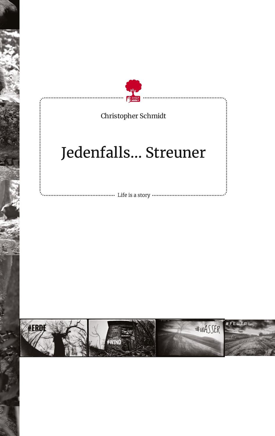 Cover: 9783710821677 | Jedenfalls... Streuner. Life is a Story - story.one | Schmidt | Buch