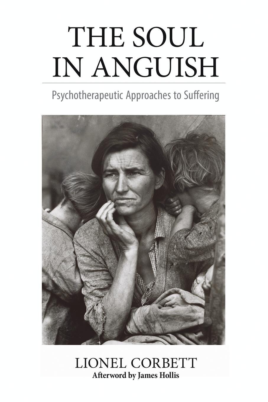 Cover: 9781630512354 | The Soul in Anguish | Psychotherapeutic Approaches to Suffering | Buch