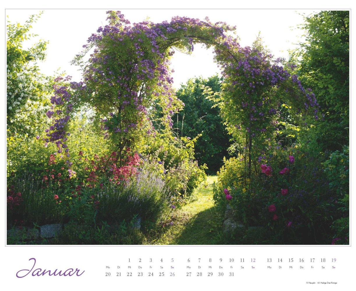 Bild: 4250809653457 | DUMONT - Im Rosengarten 2025 Wandkalender, 52x42,5cm,...