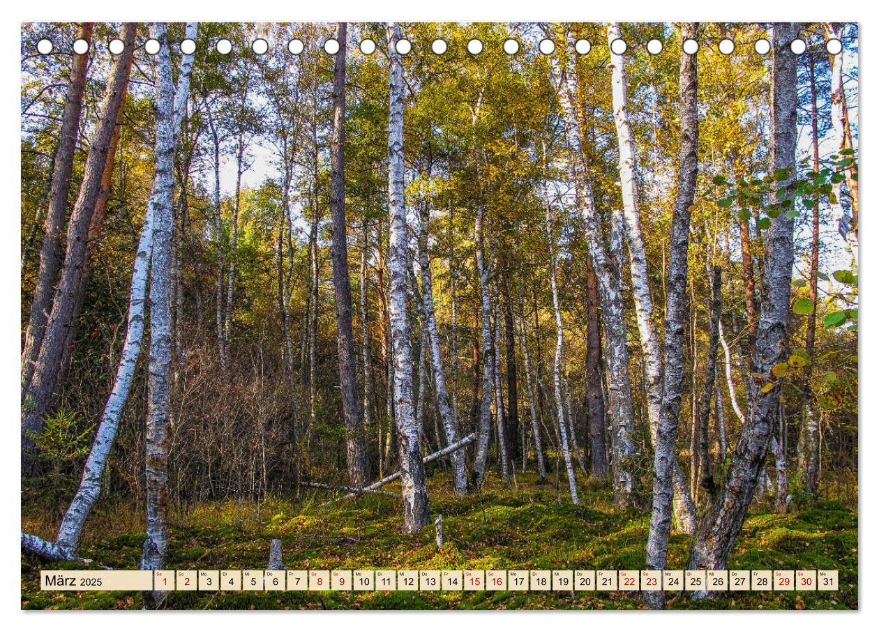 Bild: 9783435227181 | Herbst im Schwenninger Moos (Tischkalender 2025 DIN A5 quer),...