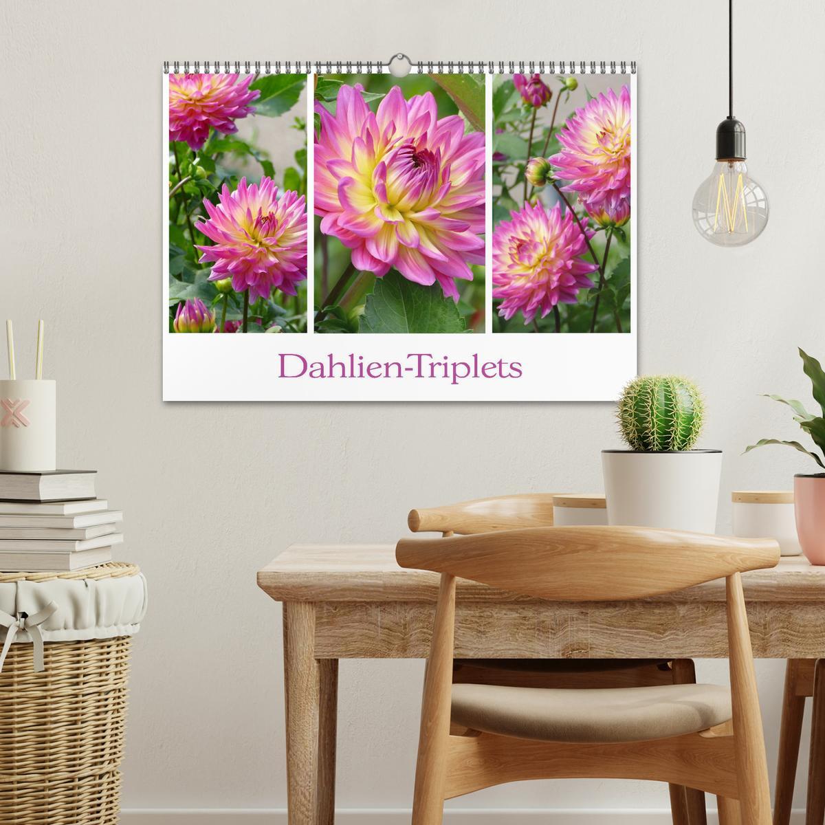 Bild: 9783435376247 | Dahlien-Triplets (Wandkalender 2025 DIN A3 quer), CALVENDO...